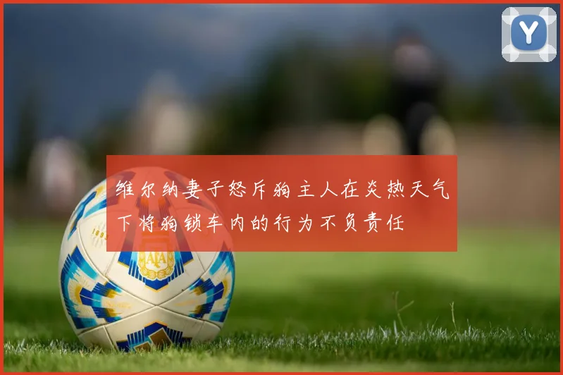 维尔纳妻子怒斥狗主人在炎热天气下将狗锁车内的行为不负责任