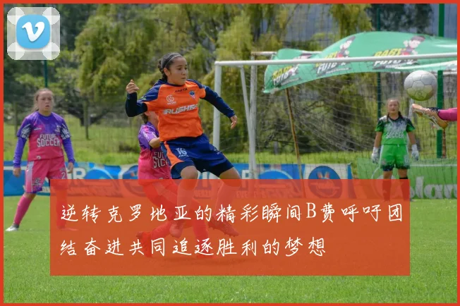 逆转克罗地亚的精彩瞬间B费呼吁团结奋进共同追逐胜利的梦想